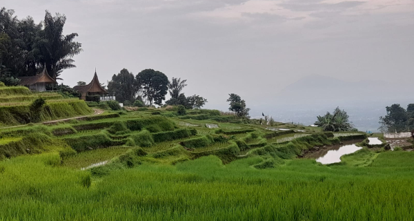 Bercuti ke Sikabu Glamping Bukittinggi Padang